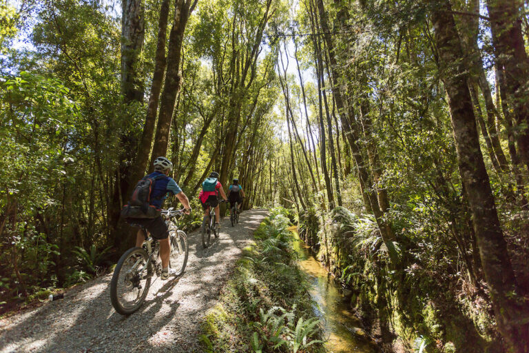 nearby hokitika kiwi holiday park activities sights eateries camping motels stay hoki