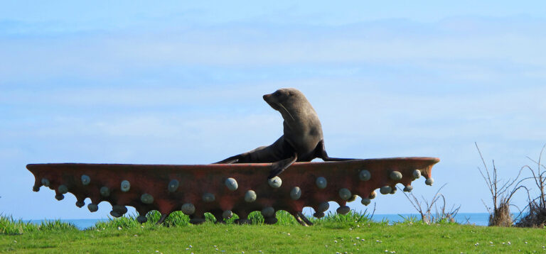 nearby hokitika kiwi holiday park activities sights eateries camping motels stay hoki