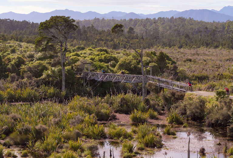 nearby hokitika kiwi holiday park activities sights eateries camping motels stay hoki