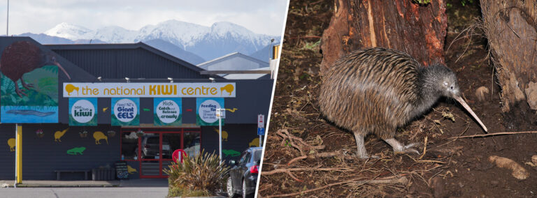 nearby hokitika kiwi holiday park activities sights eateries camping motels stay hoki